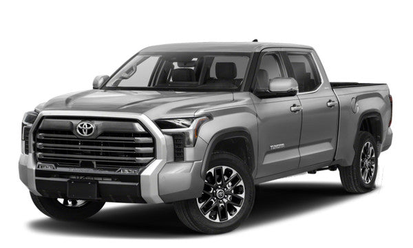 Tailgate Insert Decal Letters - suit Toyota Tundra 2022+