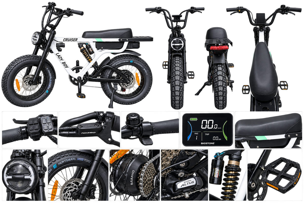 A multi-view product collage of an electric bicycle, showing the front, rear, side, and close-up detail shots of the handlebars, wheels, suspension, battery display, and seat. The bike is branded Lady Bird with visible 'Cruiser' and 'Shoto' markings.